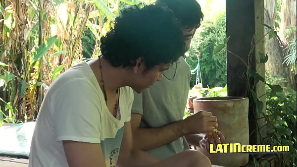 Two Latin Cuties Experiment